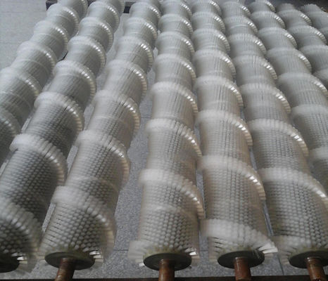 Combined Scallop Cleaning Roller Brush