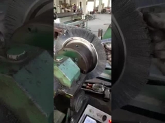 স্প্রিয়াল রোটারি অভ্যন্তরীণ পরিষ্কার অভ্যন্তরীণ রিং অভ্যন্তরীণ এসএস ব্রাস স্পিরাল রান কয়েল ব্রাশ