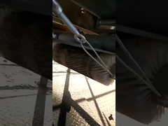 খাদ্য প্রক্রিয়াকরণ, রাস্তা পরিস্কার, কনভেয়র পরিষ্কারের জন্য নাইলন সিলিন্ডার ব্রাশ